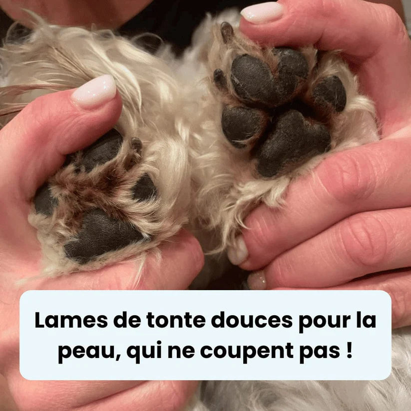 Tondeuse pour Patounes de Chien