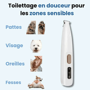 Tondeuse pour Patounes de Chien