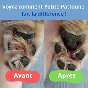 Tondeuse pour Patounes de Chien